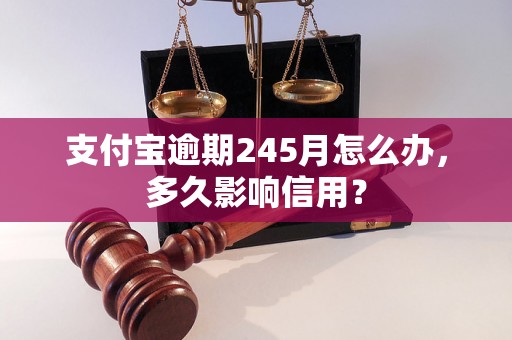 支付宝逾期245月怎么办，多久影响信用？