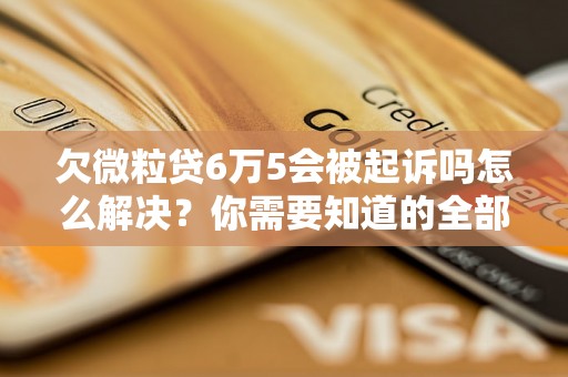 欠微粒贷6万5会被起诉吗怎么解决？你需要知道的全部解决方法