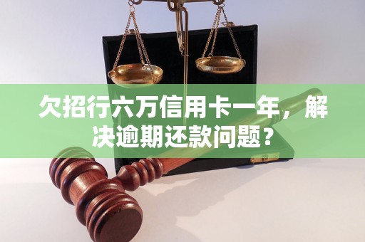 欠招行六万信用卡一年，解决逾期还款问题？