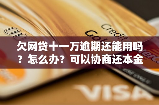 欠网贷十一万逾期还能用吗？怎么办？可以协商还本金吗？