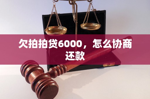 欠拍拍贷6000，怎么协商还款