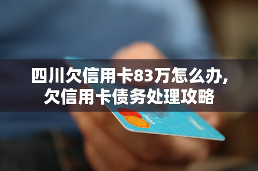 四川欠信用卡83万怎么办,欠信用卡债务处理攻略