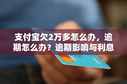 支付宝欠2万多怎么办，逾期怎么办？逾期影响与利息了解！