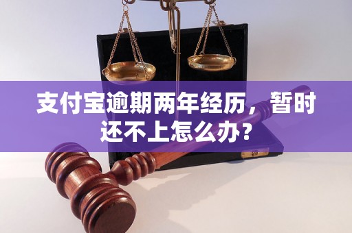 支付宝逾期两年经历，暂时还不上怎么办？