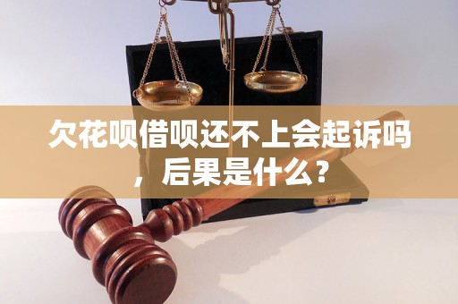 欠花呗借呗还不上会起诉吗，后果是什么？