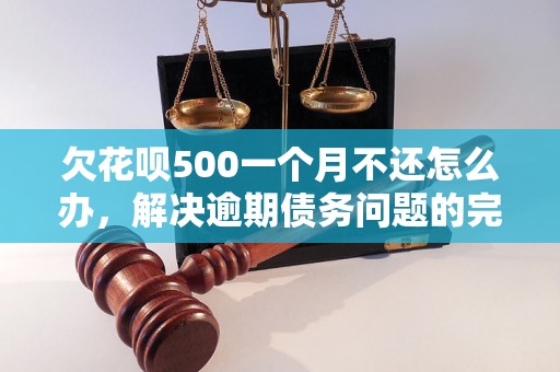 欠花呗500一个月不还怎么办，解决逾期债务问题的完整指南