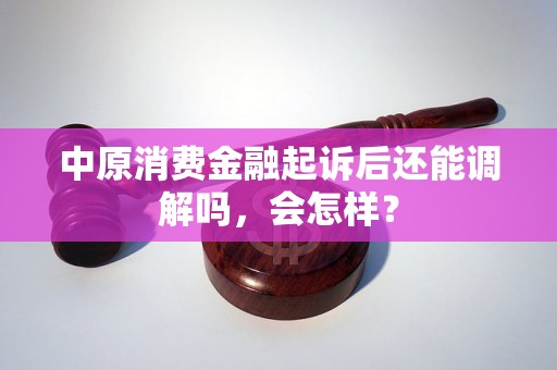 中原消费金融起诉后还能调解吗，会怎样？