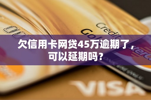 欠信用卡网贷45万逾期了，可以延期吗？