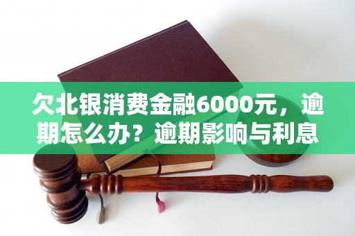 欠北银消费金融6000元，逾期怎么办？逾期影响与利息了解！