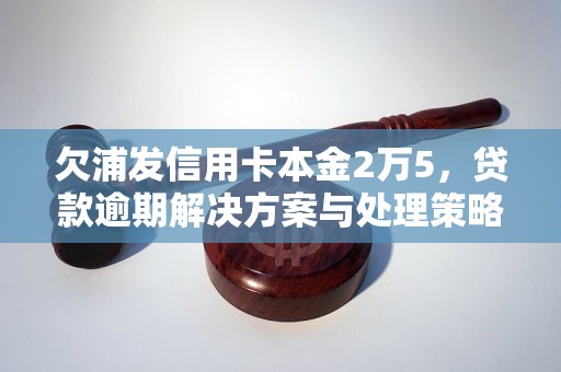 欠浦发信用卡本金2万5，贷款逾期解决方案与处理策略