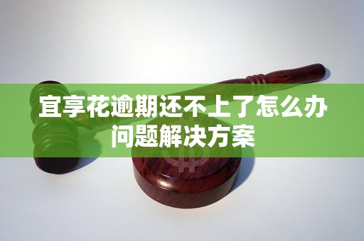 宜享花逾期还不上了怎么办问题解决方案