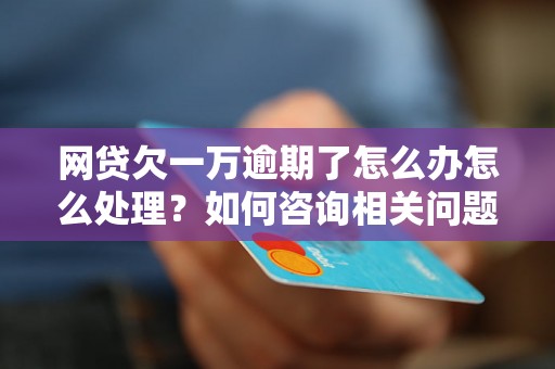 网贷欠一万逾期了怎么办怎么处理？如何咨询相关问题？