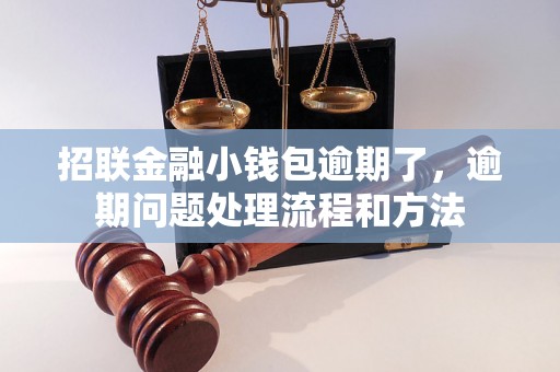 招联金融小钱包逾期了，逾期问题处理流程和方法