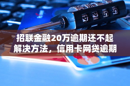 招联金融20万逾期还不起解决方法，信用卡网贷逾期必看！