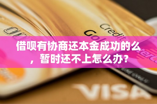 借呗有协商还本金成功的么，暂时还不上怎么办？