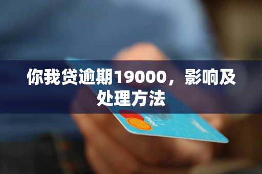 你我贷逾期19000，影响及处理方法