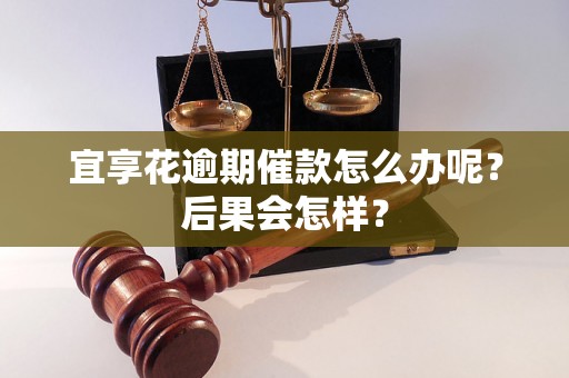 宜享花逾期催款怎么办呢？后果会怎样？