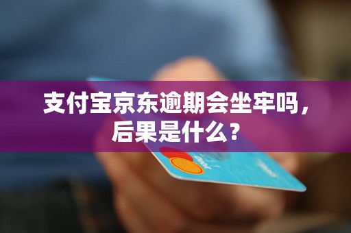 支付宝京东逾期会坐牢吗，后果是什么？