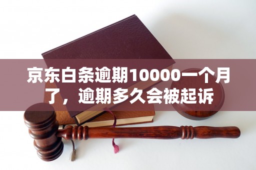 京东白条逾期10000一个月了，逾期多久会被起诉