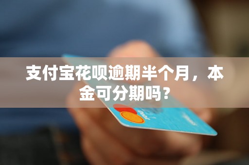 支付宝花呗逾期半个月，本金可分期吗？