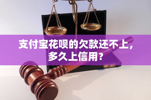 支付宝花呗的欠款还不上，多久上信用？