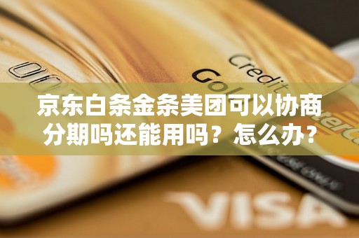 京东白条金条美团可以协商分期吗还能用吗？怎么办？可以协商还本金吗？