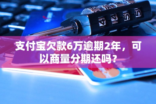 支付宝欠款6万逾期2年，可以商量分期还吗？