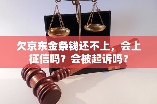 欠京东金条钱还不上，会上征信吗？会被起诉吗？