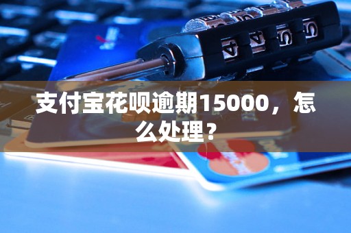 支付宝花呗逾期15000，怎么处理？