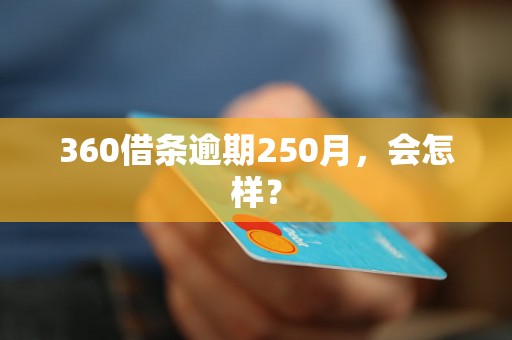 360借条逾期250月，会怎样？