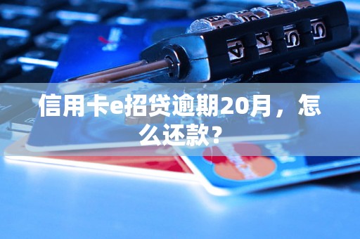 信用卡e招贷逾期20月，怎么还款？