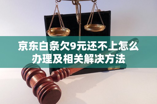 京东白条欠9元还不上怎么办理及相关解决方法