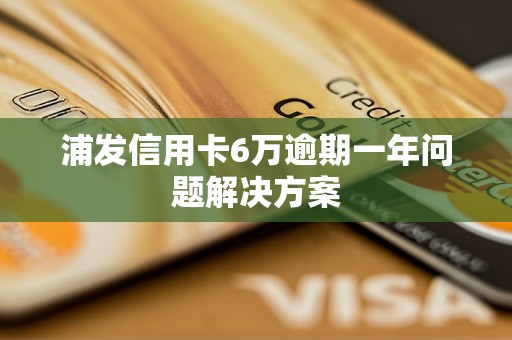 浦发信用卡6万逾期一年问题解决方案