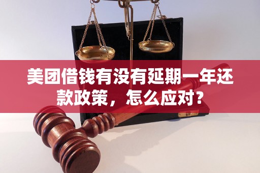 美团借钱有没有延期一年还款政策，怎么应对？