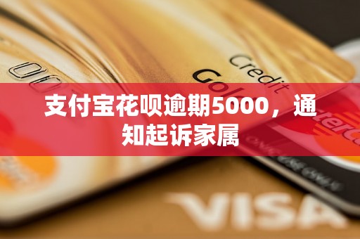 支付宝花呗逾期5000，通知起诉家属