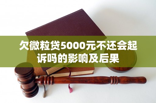 欠微粒贷5000元不还会起诉吗的影响及后果