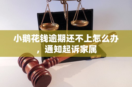 小鹅花钱逾期还不上怎么办，通知起诉家属