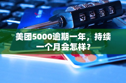 美团5000逾期一年，持续一个月会怎样？