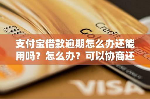 支付宝借款逾期怎么办还能用吗？怎么办？可以协商还本金吗？