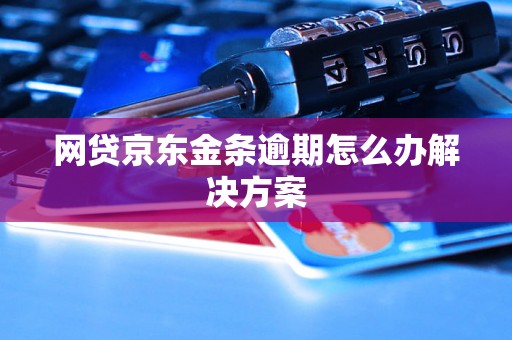 网贷京东金条逾期怎么办解决方案