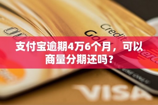 支付宝逾期4万6个月，可以商量分期还吗？