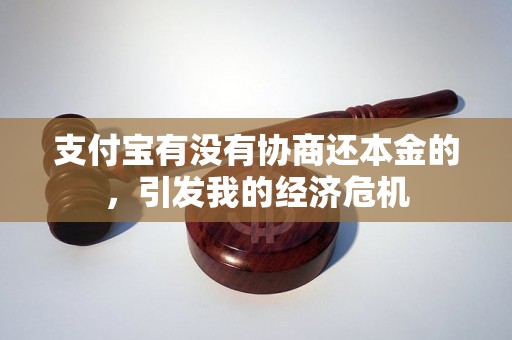 支付宝有没有协商还本金的，引发我的经济危机