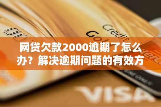 网贷欠款2000逾期了怎么办？解决逾期问题的有效方法分享