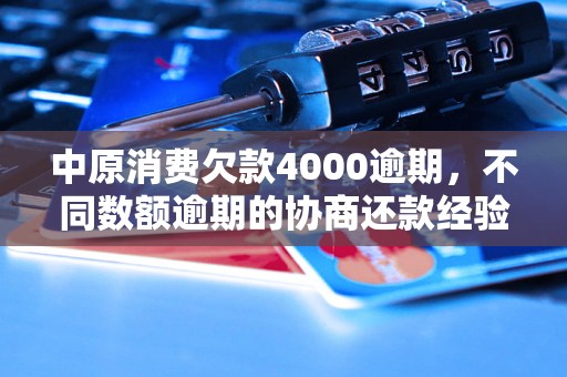 中原消费欠款4000逾期，不同数额逾期的协商还款经验分享