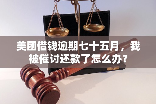 美团借钱逾期七十五月，我被催讨还款了怎么办？