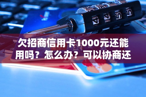 欠招商信用卡1000元还能用吗？怎么办？可以协商还本金吗？