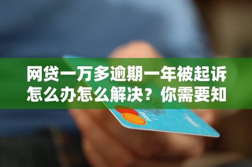 网贷一万多逾期一年被起诉怎么办怎么解决？你需要知道的全部解决方法