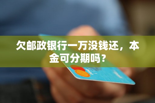 欠邮政银行一万没钱还，本金可分期吗？