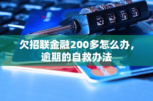 欠招联金融200多怎么办，逾期的自救办法