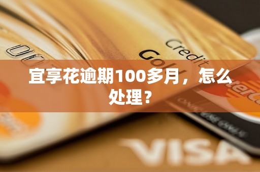 宜享花逾期100多月，怎么处理？